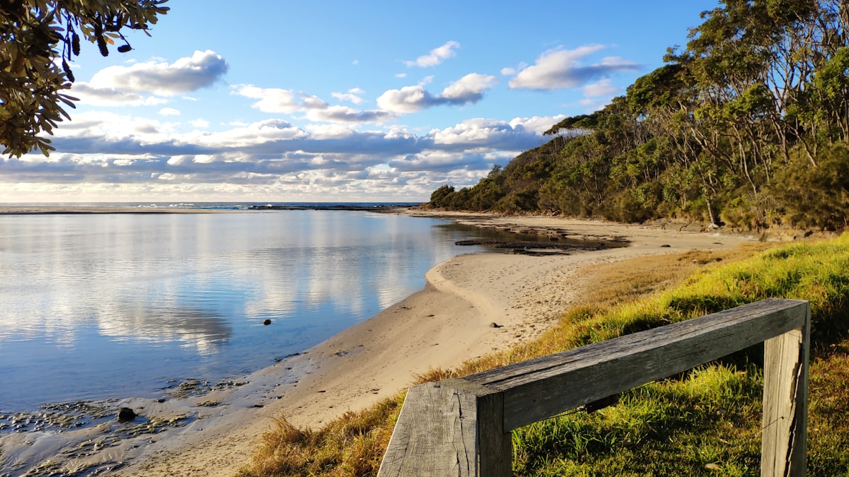 Engel MT45F Review — The Buy-It-For-Life 12V Fridge